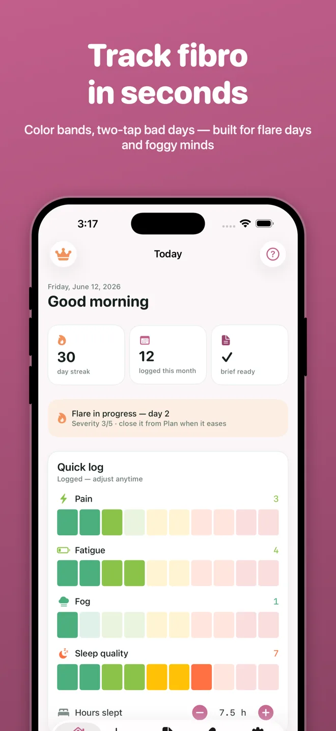 Ember two-tap daily logging for fibromyalgia flare days